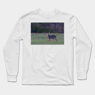 September Deer - White-tailed deer Long Sleeve T-Shirt